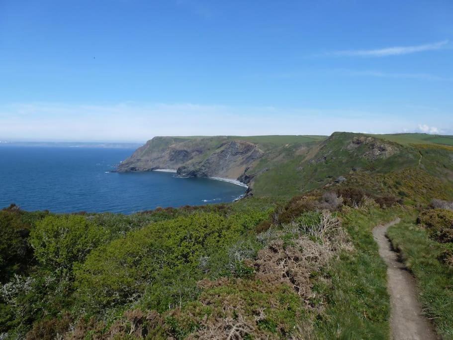 Lower Tresmorn Farmhouse Crackington Haven Екстер'єр фото